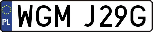 WGMJ29G