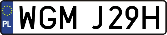 WGMJ29H