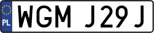 WGMJ29J