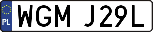 WGMJ29L