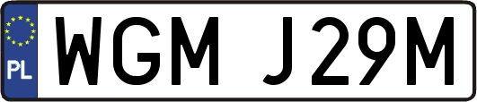 WGMJ29M