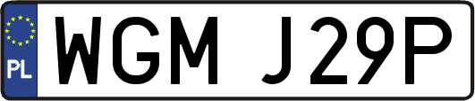 WGMJ29P
