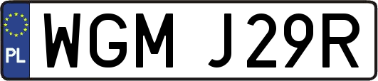WGMJ29R