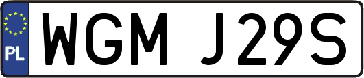 WGMJ29S