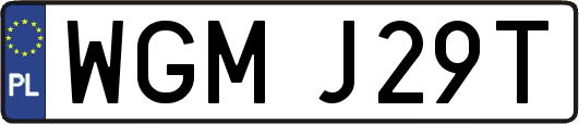WGMJ29T