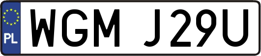 WGMJ29U