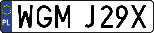 WGMJ29X