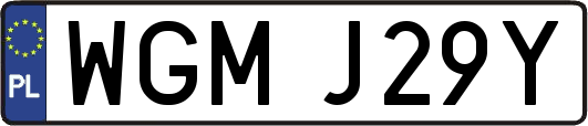 WGMJ29Y