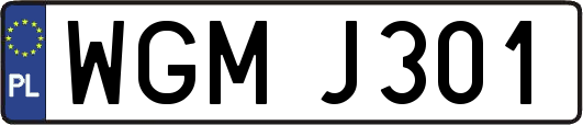 WGMJ301