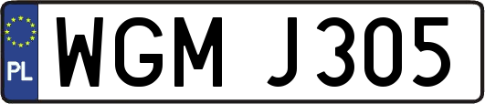 WGMJ305