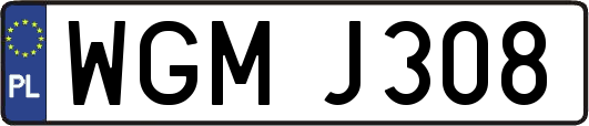 WGMJ308