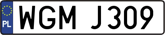 WGMJ309