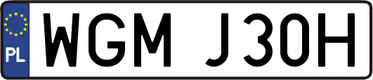 WGMJ30H