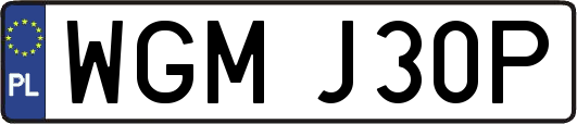 WGMJ30P