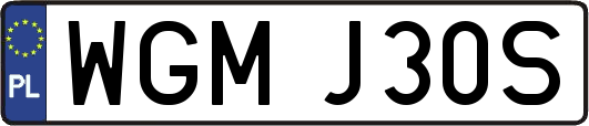 WGMJ30S