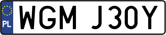 WGMJ30Y