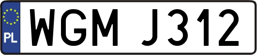 WGMJ312