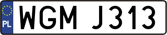 WGMJ313