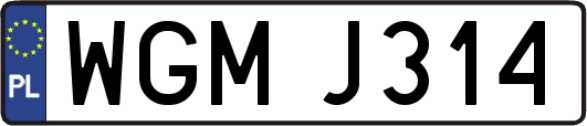WGMJ314