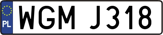 WGMJ318