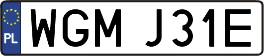 WGMJ31E