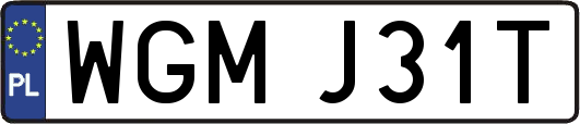 WGMJ31T
