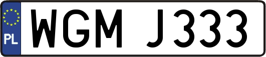 WGMJ333