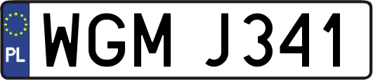 WGMJ341