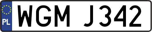 WGMJ342