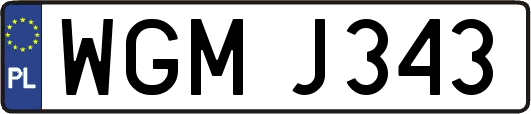 WGMJ343