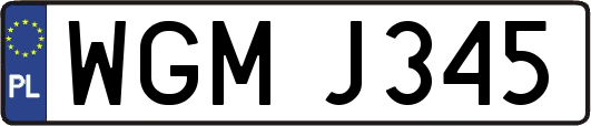 WGMJ345
