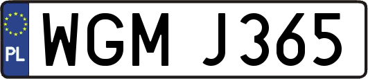 WGMJ365