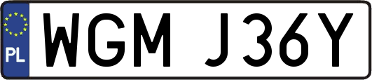 WGMJ36Y