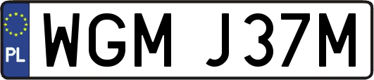 WGMJ37M
