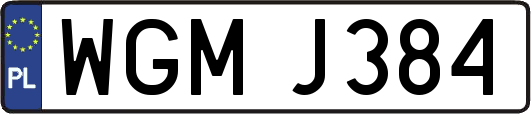 WGMJ384