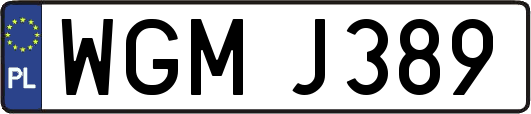 WGMJ389