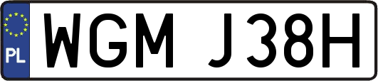 WGMJ38H