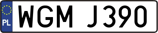 WGMJ390