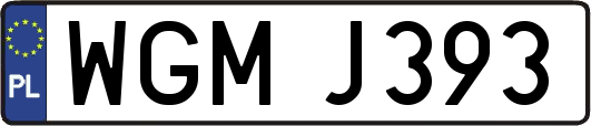 WGMJ393