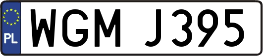 WGMJ395