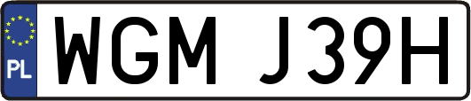 WGMJ39H