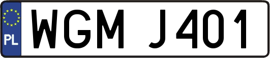 WGMJ401