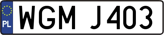 WGMJ403