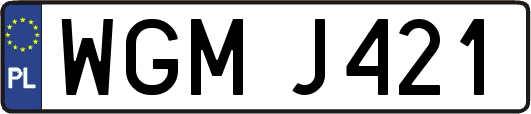 WGMJ421