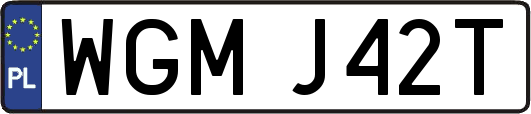 WGMJ42T