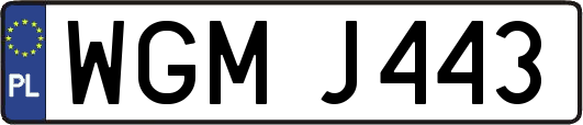 WGMJ443