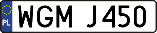WGMJ450