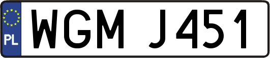 WGMJ451