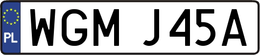 WGMJ45A