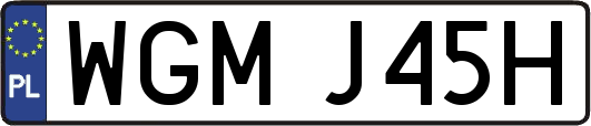 WGMJ45H
